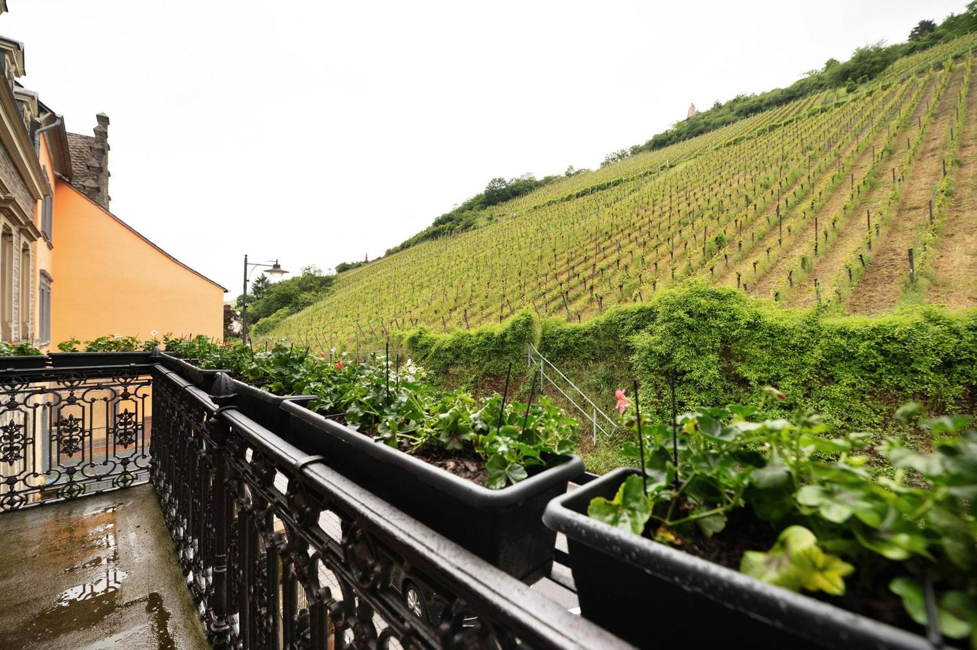 Alte Stadtvilla Am Weinberg 3 Traben-Trarbach Eksteriør billede